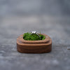 Ring box RB504 *10 PCS