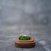 Ring box RB504 *10 PCS