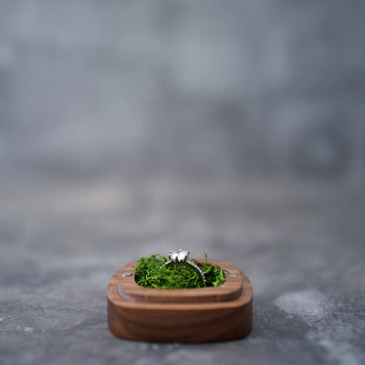 Ring box RB504 *10 PCS