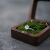 Ring box RB506 *10 PCS